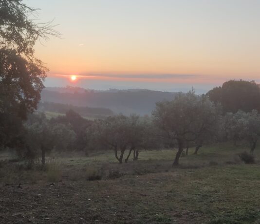 Acampada de Navidad de la Compañía Sta. María del Remei